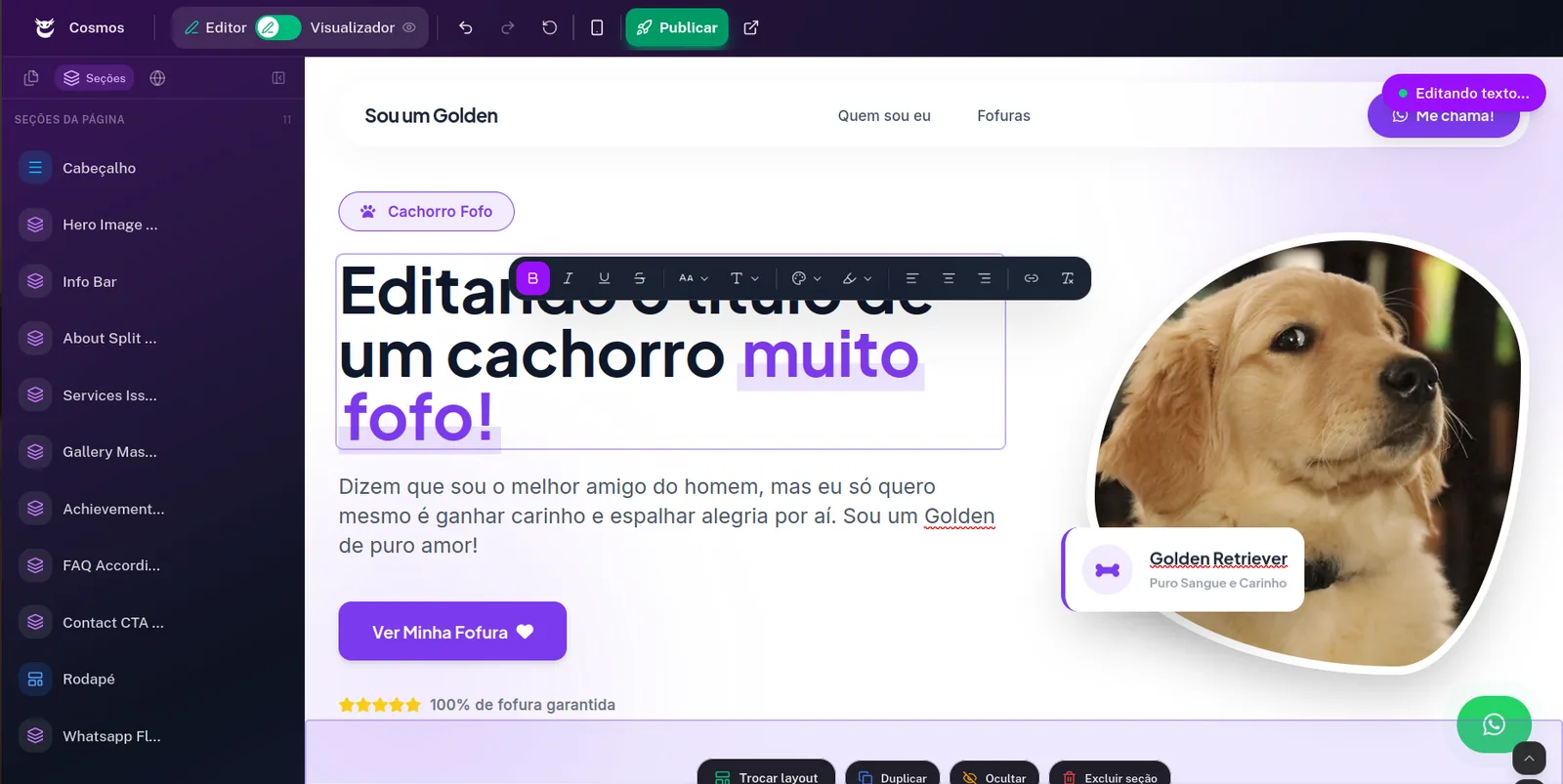 Editor Cosmos completo: sidebar de seções editando o hero de um site